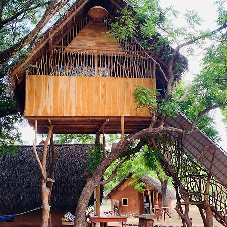 Yala Village Eco Tree House Tissamaharama Dış mekan fotoğraf