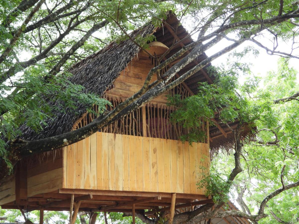 Yala Village Eco Tree House Tissamaharama Dış mekan fotoğraf