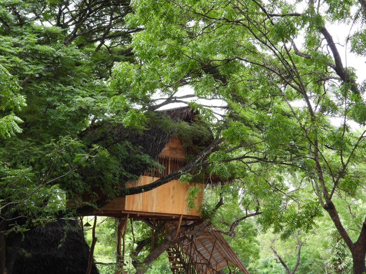 Yala Village Eco Tree House Tissamaharama Dış mekan fotoğraf