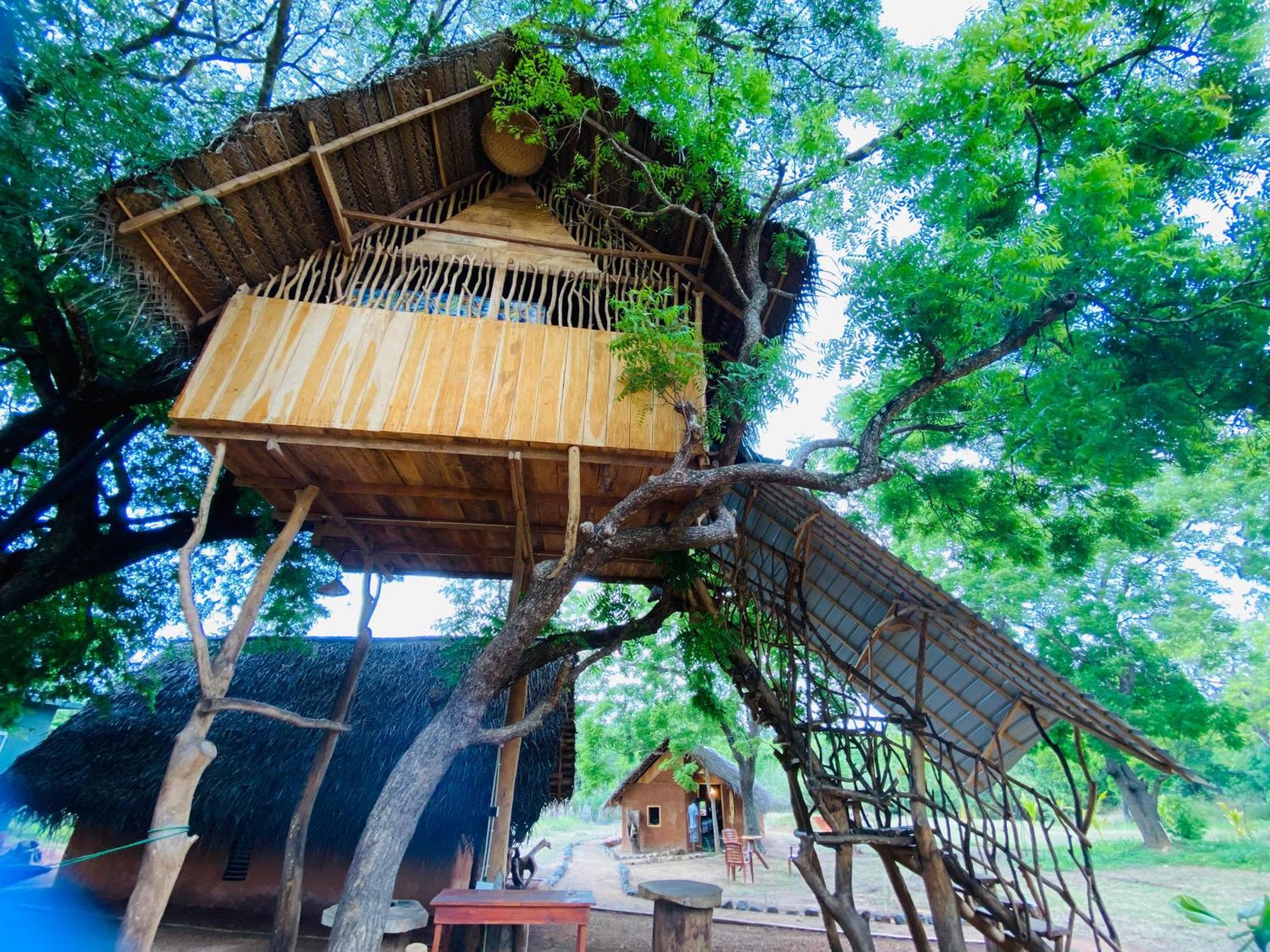 Yala Village Eco Tree House Tissamaharama Dış mekan fotoğraf