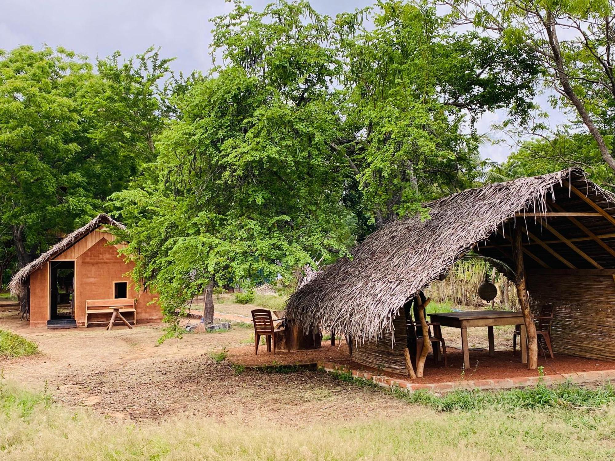 Yala Village Eco Tree House Tissamaharama Dış mekan fotoğraf