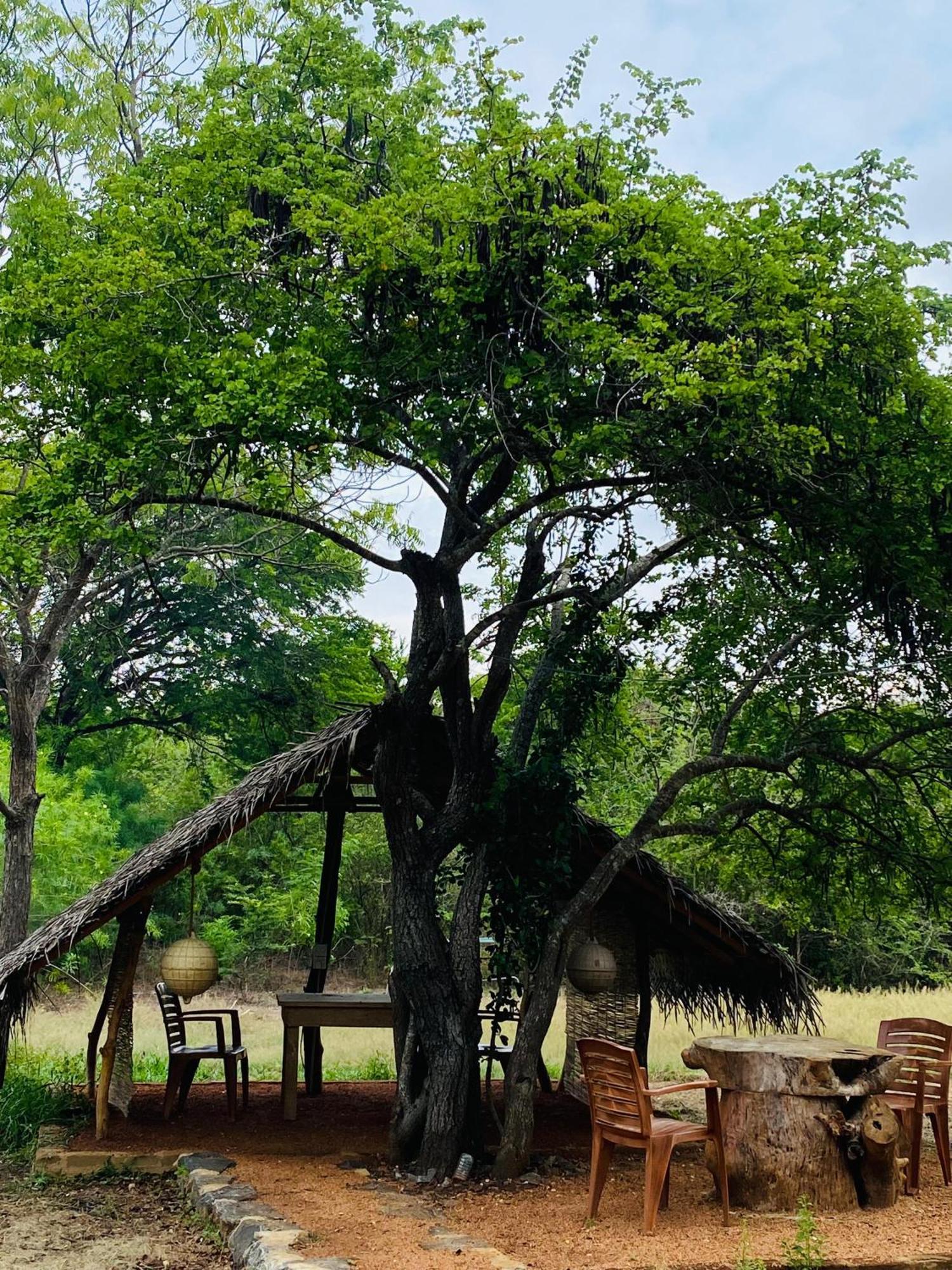 Yala Village Eco Tree House Tissamaharama Dış mekan fotoğraf
